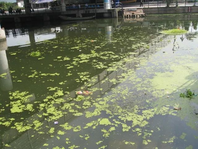 城市黑臭河道如何治理？河道黑臭水體治理思路