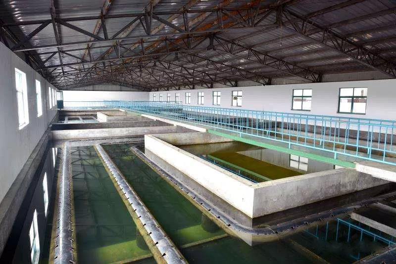 什么是制糖廢水？制糖廢水處理技術(shù)