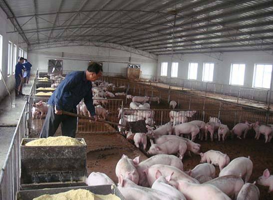 什么是養(yǎng)殖廢水？養(yǎng)殖廢水處理工藝