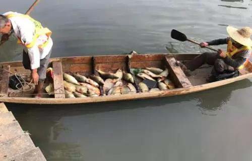 廣州旺旺食品廢水直排，永和河大量魚類死亡